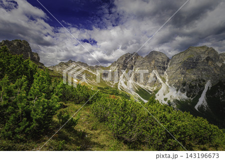 Mountain landscape with alpine vegetation and rugged peaks Mountain landscape with alpine vegetation and rugged peaks 143196673