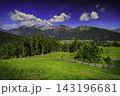 Alpine mountain panorama above a green meadow 143196681