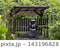赤羽緑地のかかし 143196828