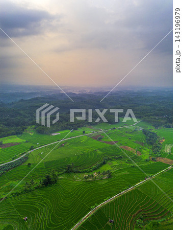 beauty morning light sunrise at paddy fields asia, Beautiful morning view in Indonesia, panoramic landscape of rice fields with mountain ranges and clear sky beauty morning light sunrise at paddy fields asia, Beautiful morning view in Indonesia, panoramic landscape of rice fields with mountain ranges and clear sky 143196979