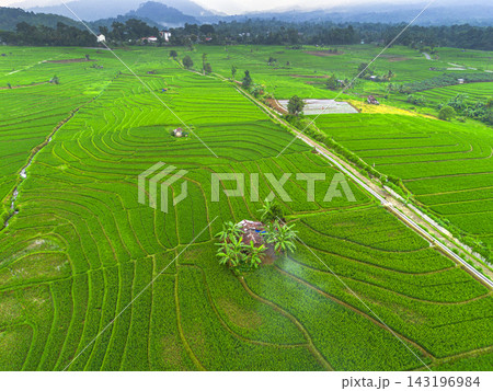 beauty morning light sunrise at paddy fields asia, Beautiful morning view in Indonesia, panoramic landscape of rice fields with mountain ranges and clear sky beauty morning light sunrise at paddy fields asia, Beautiful morning view in Indonesia, panoramic landscape of rice fields with mountain ranges and clear sky 143196984