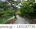 緑豊かな公園 143197736