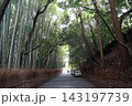 竹林 143197739
