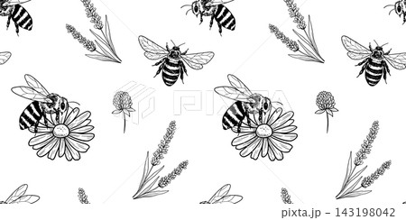 Seamless pattern with flying honeybee realistic sketch. Vector print with wild insect monochrome drawings, vintage line graphic 143198042