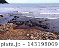 宇佐美海岸風景 143198069