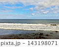 宇佐美海岸風景 143198071