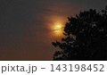 Moonlight Over Tropical Palm Tree at Night Sky Moonlight Over Tropical Palm Tree at Night Sky 143198452