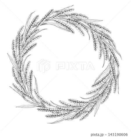 Pencil drawing of curved wheat stalks within a round frame. An isolated illustration suitable for decorating bakeries, cafes, kitchen textiles, menus, interiors, and culinary blogs. 143198606