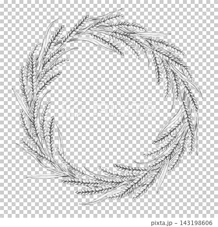 Pencil drawing of curved wheat stalks within a round frame. An isolated illustration suitable for decorating bakeries, cafes, kitchen textiles, menus, interiors, and culinary blogs. 143198606