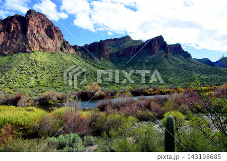 Salt River Recreation Area Arizona Salt River Recreation Area Arizona 143198685