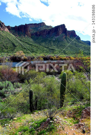 Salt River Recreation Area Arizona Salt River Recreation Area Arizona 143198686