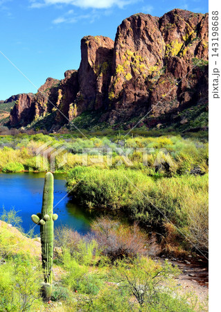 Salt River Recreation Area Arizona Salt River Recreation Area Arizona 143198688