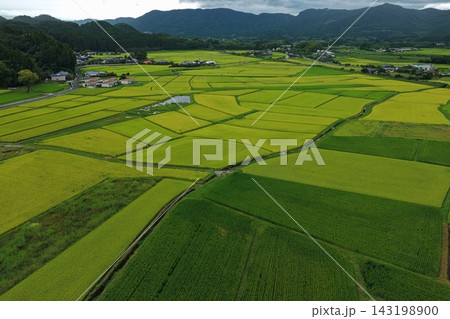 宮崎県えびの市の水田と農村風景を捉えた空撮写真 宮崎県えびの市の水田と農村風景を捉えた空撮写真 143198900