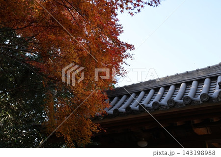 美しいラインを描く寺院の瓦屋根と鮮やかに色づくもみじの葉の和風秋景色 美しいラインを描く寺院の瓦屋根と鮮やかに色づくもみじの葉の和風秋景色 143198988