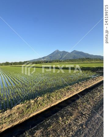2026年の磐梯山ウルトラマラソンのコース上から見た磐梯山v 2026年の磐梯山ウルトラマラソンのコース上から見た磐梯山v 143199715