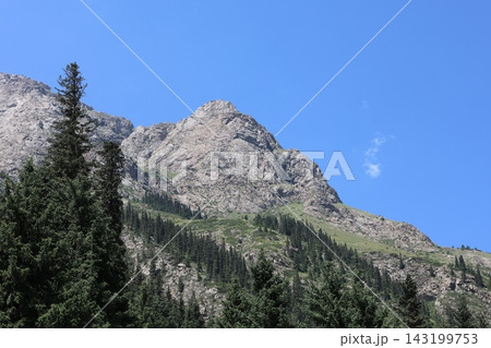 Rocky Mountain Slope with Spruce Forest and blue sky 143199753