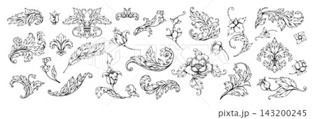 Ornamental floral scrollwork set. Baroque floral ornament. Detailed vintage leaves, curls and blossoms, decorative design elements for classic frames, borders, elegant typography. Vector set 143200245