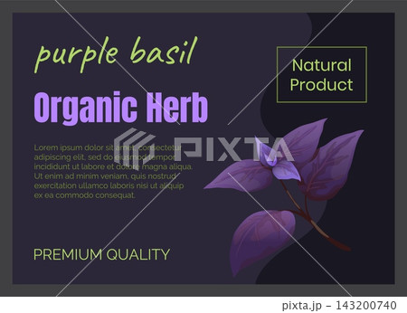 Purple basil. Organic herb. Product card design. Packaging for premium fresh or dry culinary ingredient. Aroma flavor leaf, herbal condiment, kitchen gourmet agriculture. Vector banner 143200740