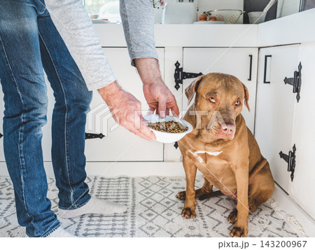 Man holds a bowl of dry dog food Man holds a bowl of dry dog food 143200967