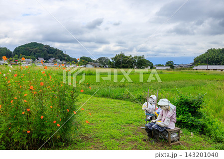 明日香村岡 農家の家族と奥に聖徳太子の橘寺 2026年9月17日 明日香村岡 農家の家族と奥に聖徳太子の橘寺 2026年9月17日 143201040
