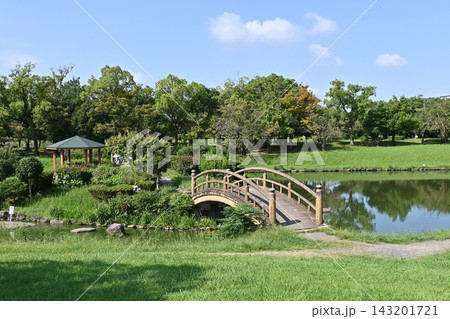 落合公園上池の中の島と橋 落合公園上池の中の島と橋 143201721