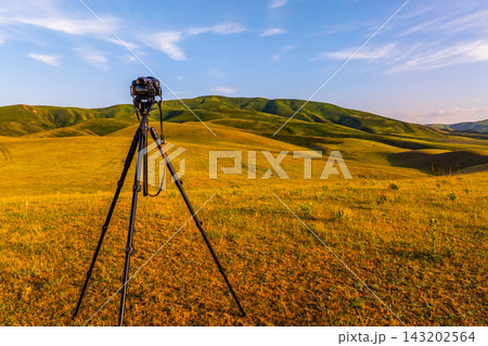 Camera on Tripod in Golden Grassland Landscape 143202564