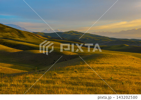 Golden Hour Rolling Hills with Snow-Capped Mountains Golden Hour Rolling Hills with Snow-Capped Mountains 143202580