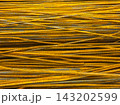 Close-up of Rusty Rebar Pile 143202599