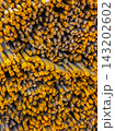 Close-Up of Stacked Rusty Metal Reinforcing Bars 143202602