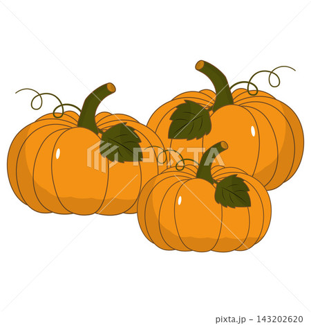 Cute flat vectors pumpkins with green leaves and curly vines Cute flat vectors pumpkins with green leaves and curly vines 143202620