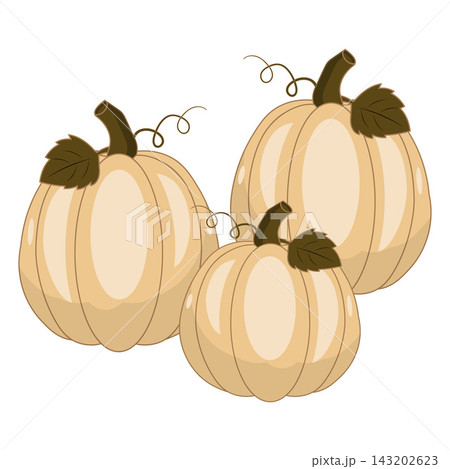 Cute flat vectors pumpkins with green leaves and curly vines 143202623