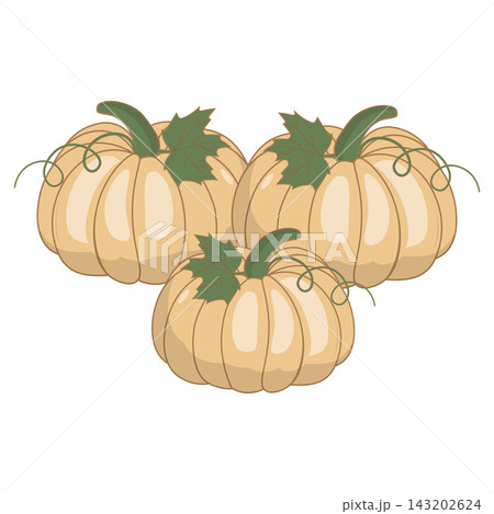 Cute flat vectors pumpkins with green leaves and curly vines 143202624