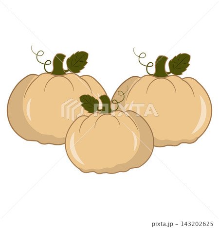 Cute flat vectors pumpkins with green leaves and curly vines Cute flat vectors pumpkins with green leaves and curly vines 143202625