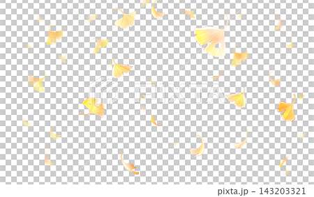 Falling ginkgo leaves (horizontal) Falling ginkgo leaves (horizontal) 143203321