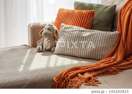 Cozy Living Room Scene with Plush Pillows and Knitted Blanket on a Sofa Cozy Living Room Scene with Plush Pillows and Knitted Blanket on a Sofa 143203823