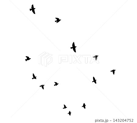 Flying birds silhouette flock. hand drawing. Not AI. Vector illustration Flying birds silhouette flock. hand drawing. Not AI. Vector illustration 143204752