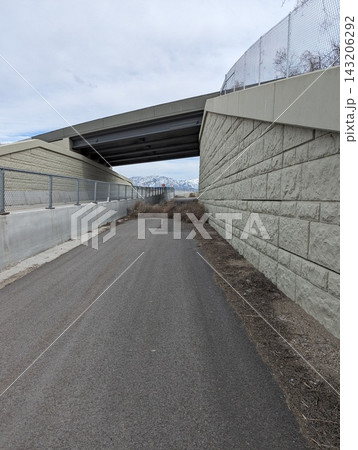 Tumbleweeds piled up on a path under a highway overpass in Utah, USA 143206292