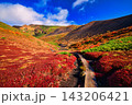 紅葉の秋田駒ヶ岳のムーミン谷 143206421