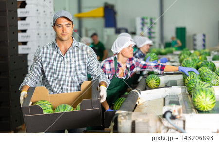 Man carrying crate of fresh watermelons in fruit factory 143206893