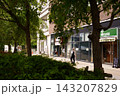 街路樹 143207829