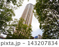 タワー 143207834