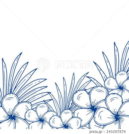 Tropical Plumeria Floral Border 143207874