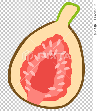 Simple and cute fig illustration vector material Simple and cute fig illustration vector material 143208596