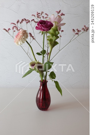 ピンク色の花 ピンク色の花 143209119
