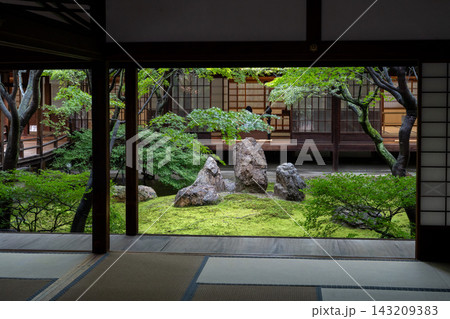 雨の建仁寺の潮音庭 143209383