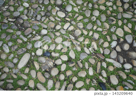 A charming pathway made of pebbles and moss in a serene garden setting A charming pathway made of pebbles and moss in a serene garden setting 143209640