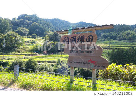 稲渕棚田 奈良県明日香村飛鳥 奈良観光旅行 稲渕棚田 奈良県明日香村飛鳥 奈良観光旅行 143211002