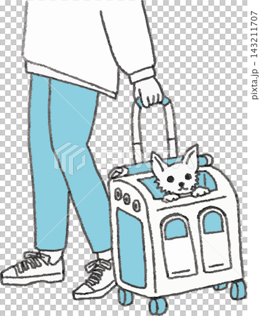 キャリーバッグで小型犬を移動させる人の手元2色イラスト 手書き風デフォルメ(ペットキャリー・通院・お キャリーバッグで小型犬を移動させる人の手元2色イラスト 手書き風デフォルメ(ペットキャリー・通院・お 143211707