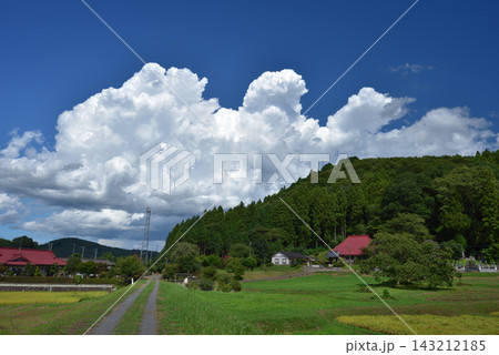 夏の田園風景と夏雲 夏の田園風景と夏雲 143212185