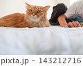 小学生の子供の手元と茶トラ猫 143212716